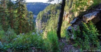 Spearfish Canyon-2.jpg